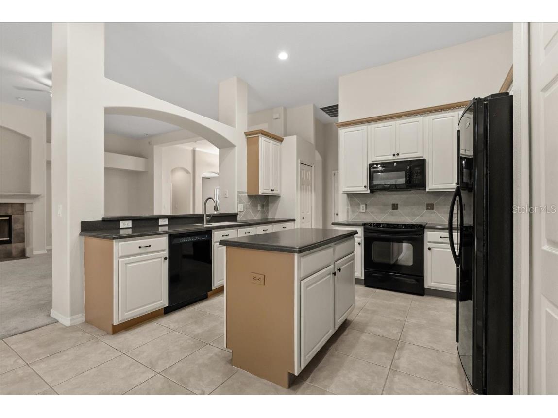 597 Sand Wedge Loop Apopka FL 32712 O6327416 image14