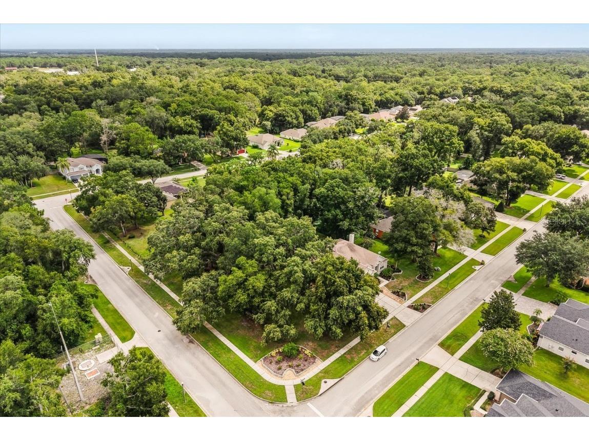 597 Sand Wedge Loop Apopka FL 32712 O6327416 image38