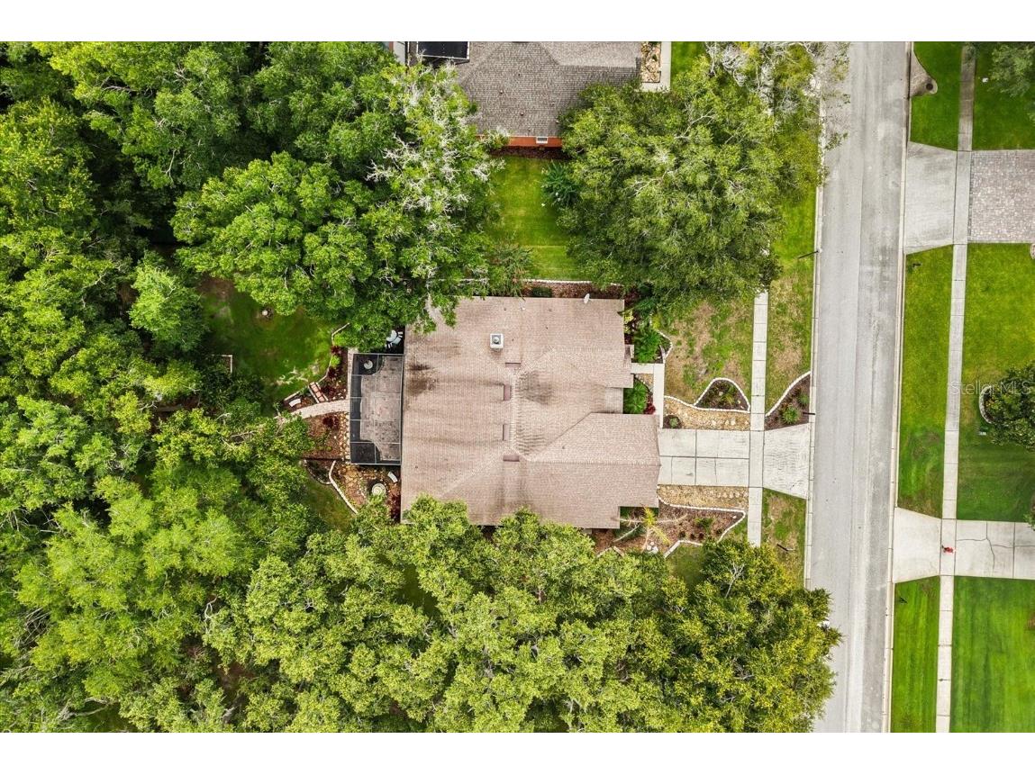 597 Sand Wedge Loop Apopka FL 32712 O6327416 image40