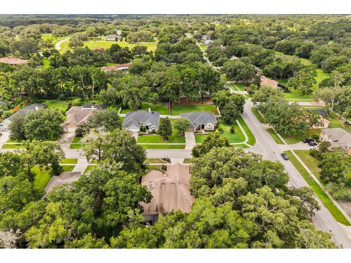 597 Sand Wedge Loop Apopka FL 32712 O6327416 image41