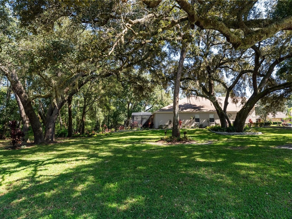 597 Sand Wedge Loop Apopka FL 32712 O6327416 image46