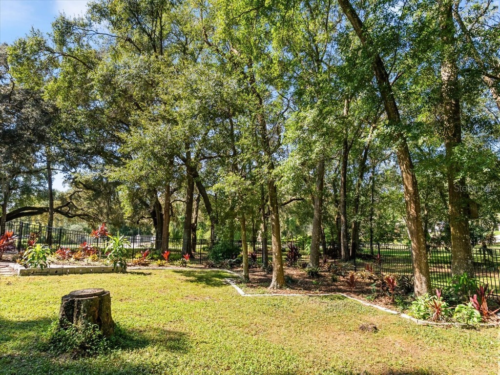 597 Sand Wedge Loop Apopka FL 32712 O6327416 image53