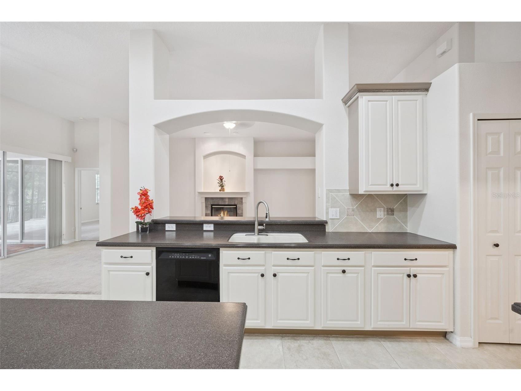597 Sand Wedge Loop Apopka FL 32712 O6413410 image11