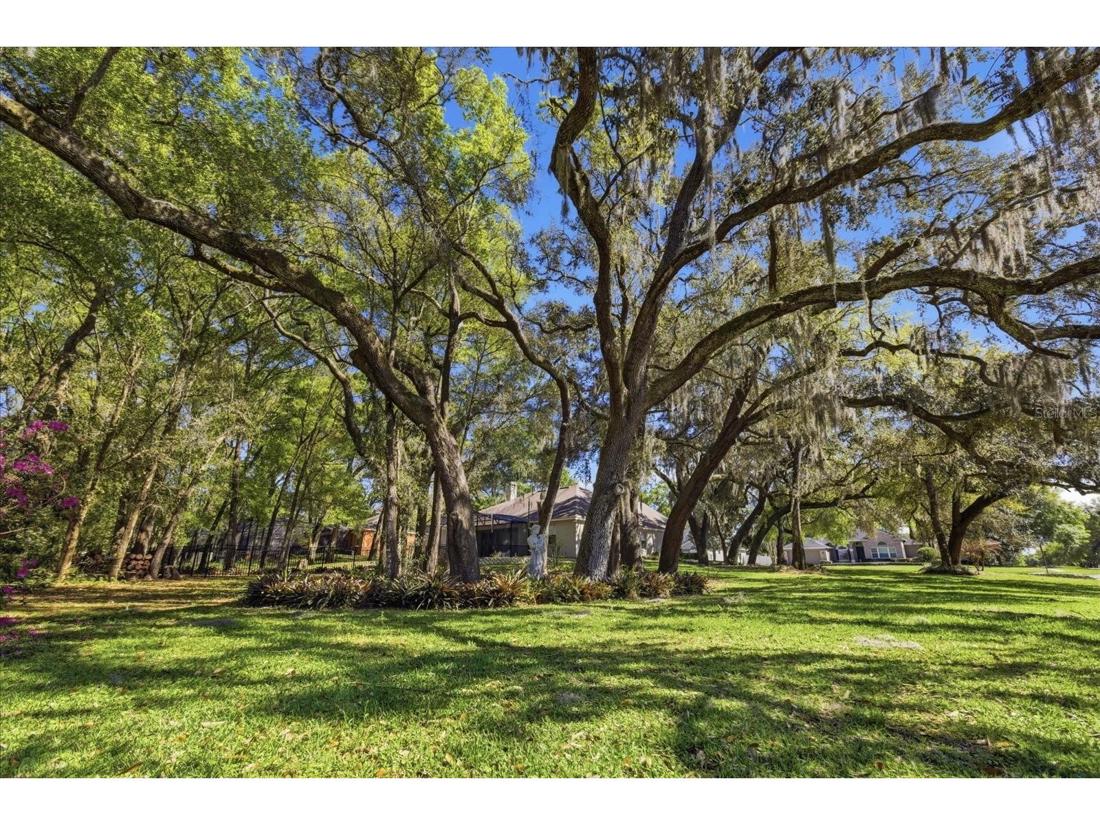 597 Sand Wedge Loop Apopka FL 32712 O6413410 image28