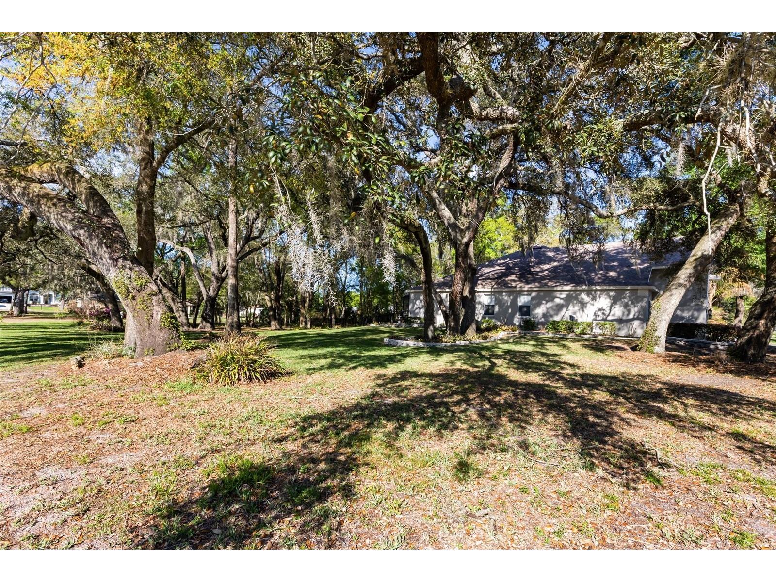 597 Sand Wedge Loop Apopka FL 32712 O6413410 image29