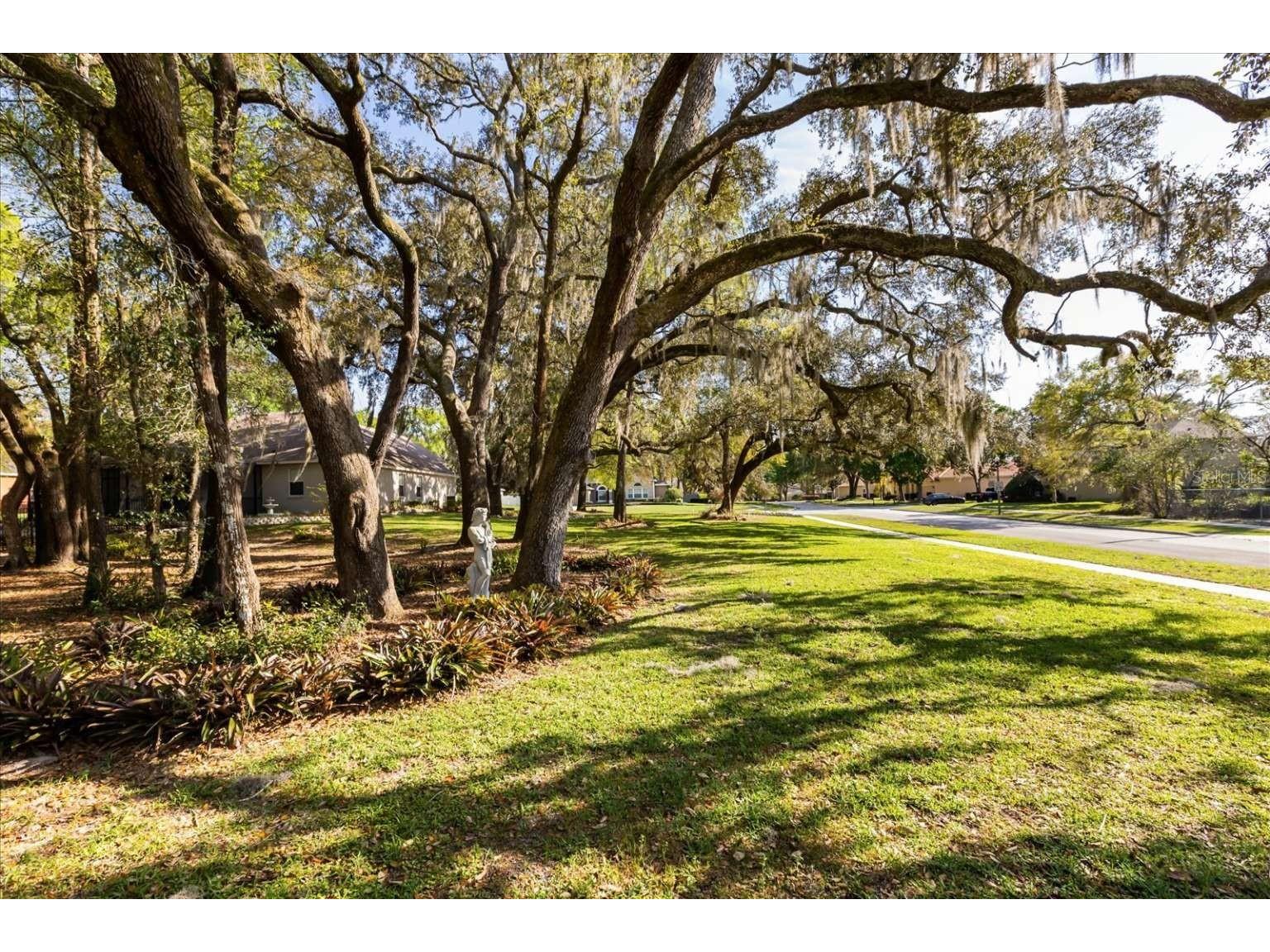 597 Sand Wedge Loop Apopka FL 32712 TB8488308 image11