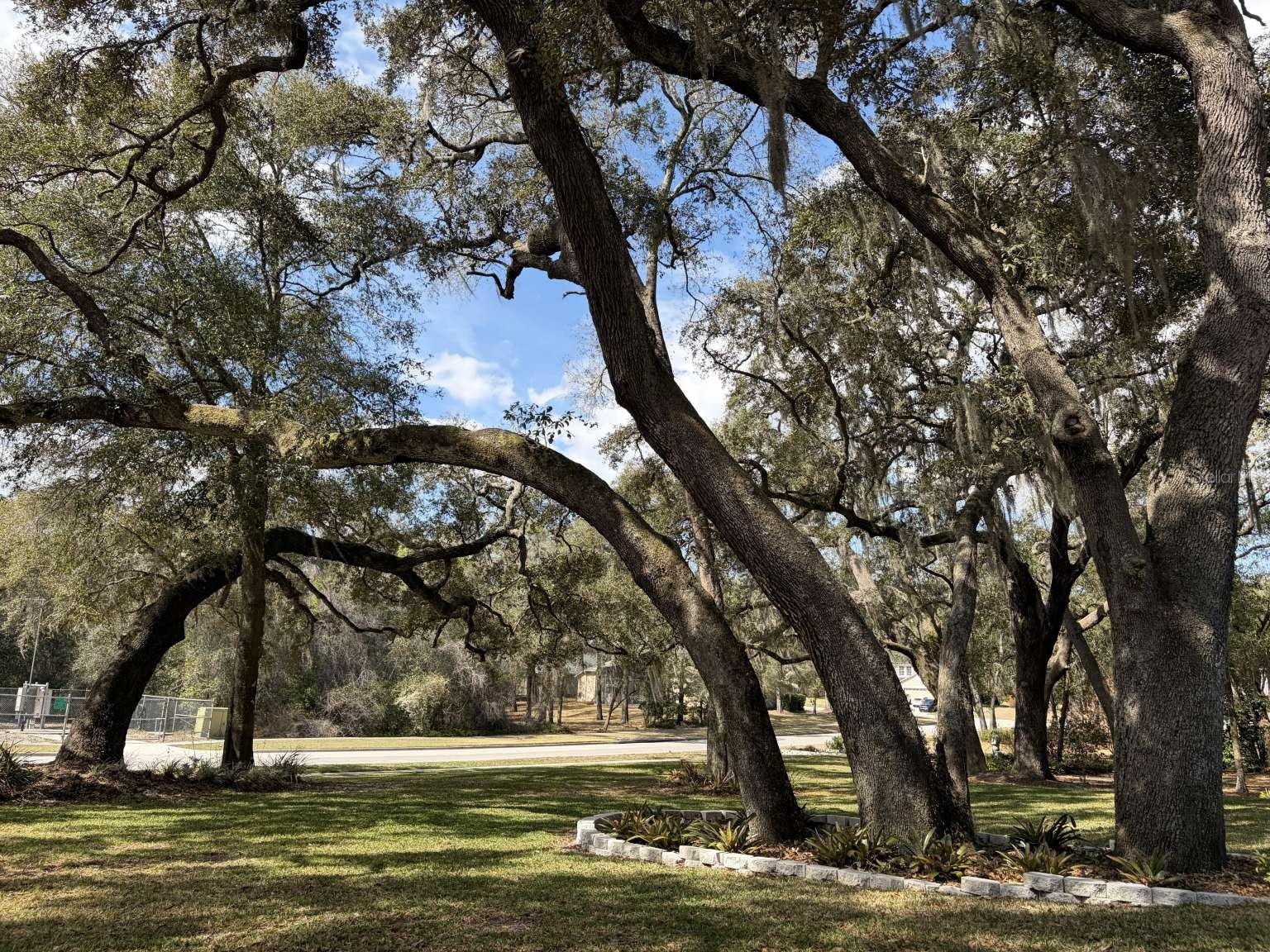 597 Sand Wedge Loop Apopka FL 32712 TB8488308 image3