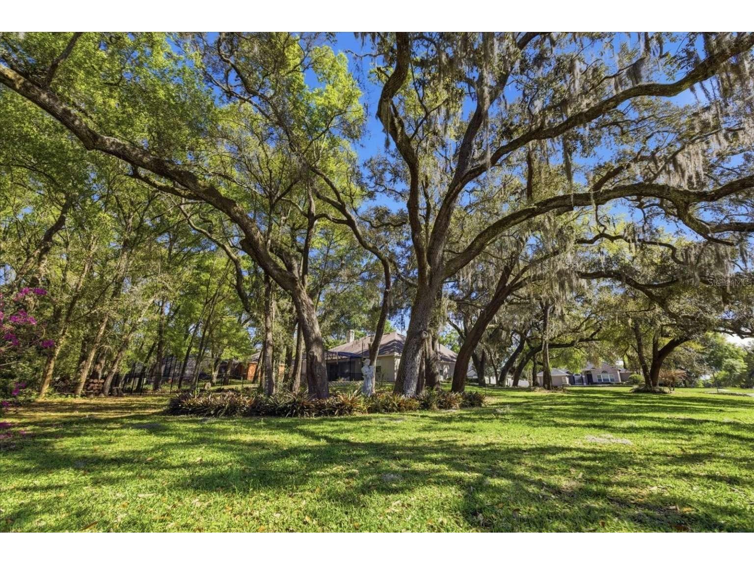 597 Sand Wedge Loop Apopka FL 32712 TB8488308 image4