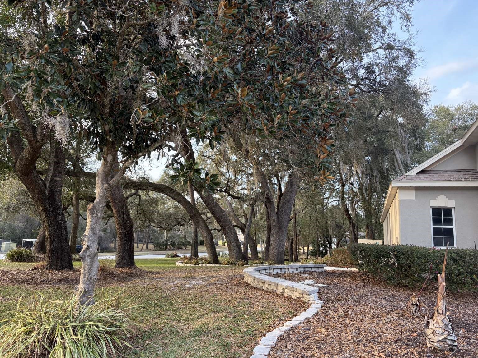 597 Sand Wedge Loop Apopka FL 32712 TB8488308 image54