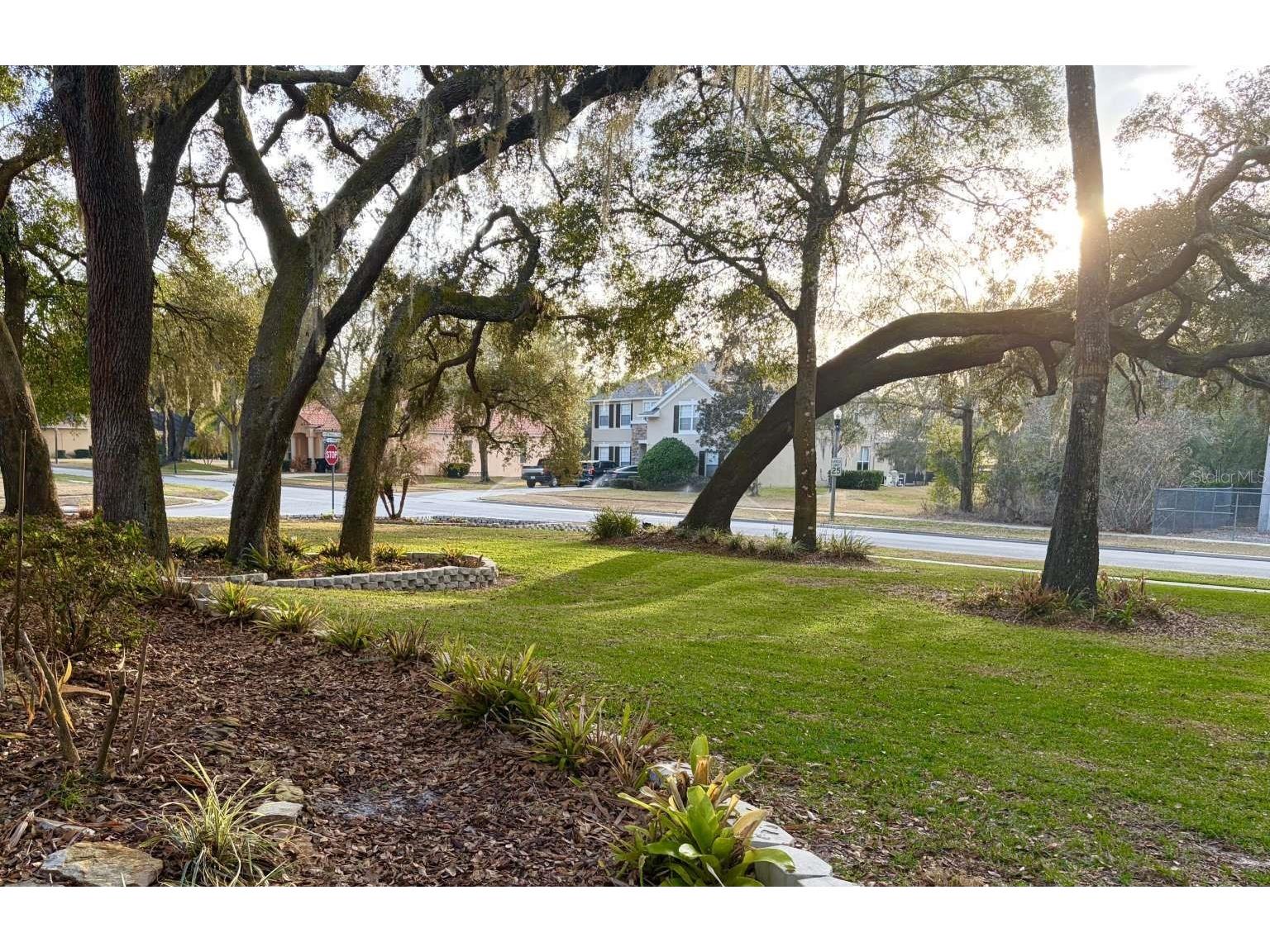 597 Sand Wedge Loop Apopka FL 32712 TB8488308 image57