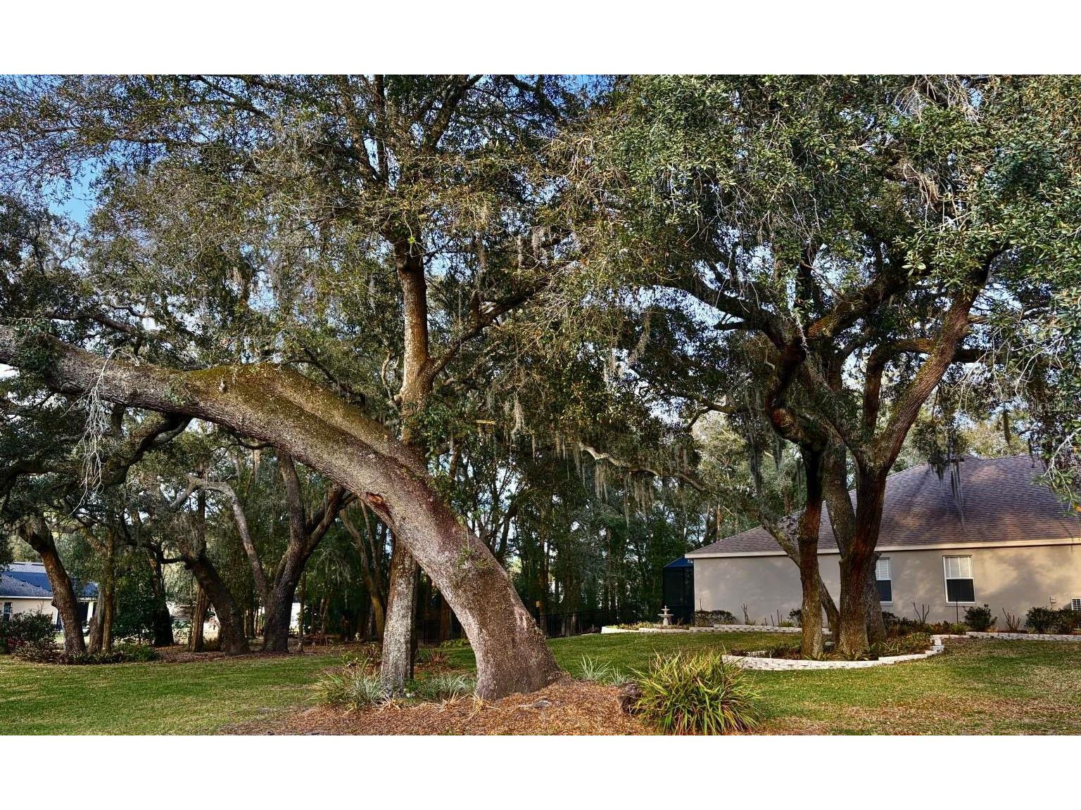 597 Sand Wedge Loop Apopka FL 32712 TB8488308 image59