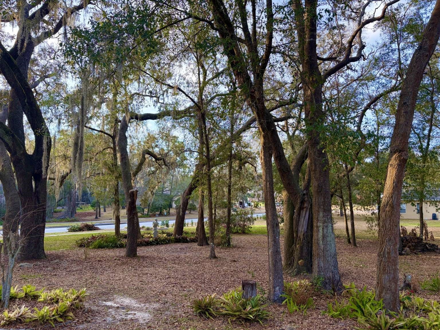 597 Sand Wedge Loop Apopka FL 32712 TB8488308 image60