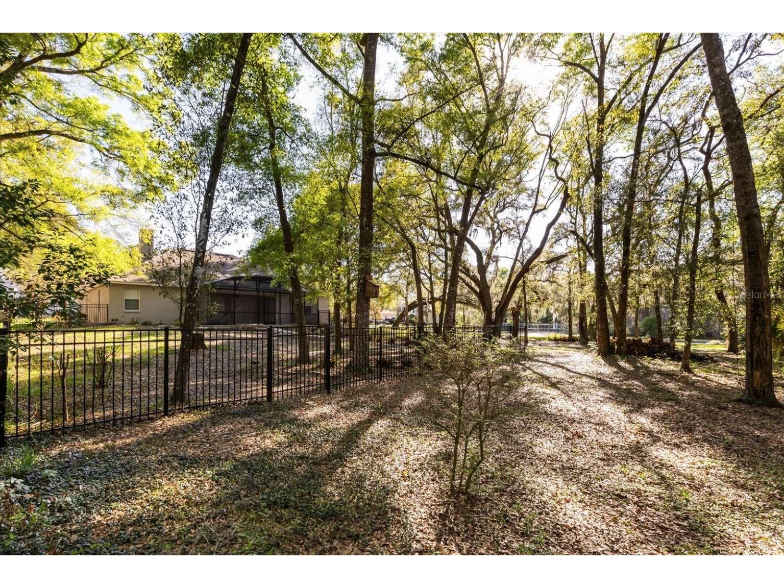 597 Sand Wedge Loop Apopka FL 32712 TB8488308 image62