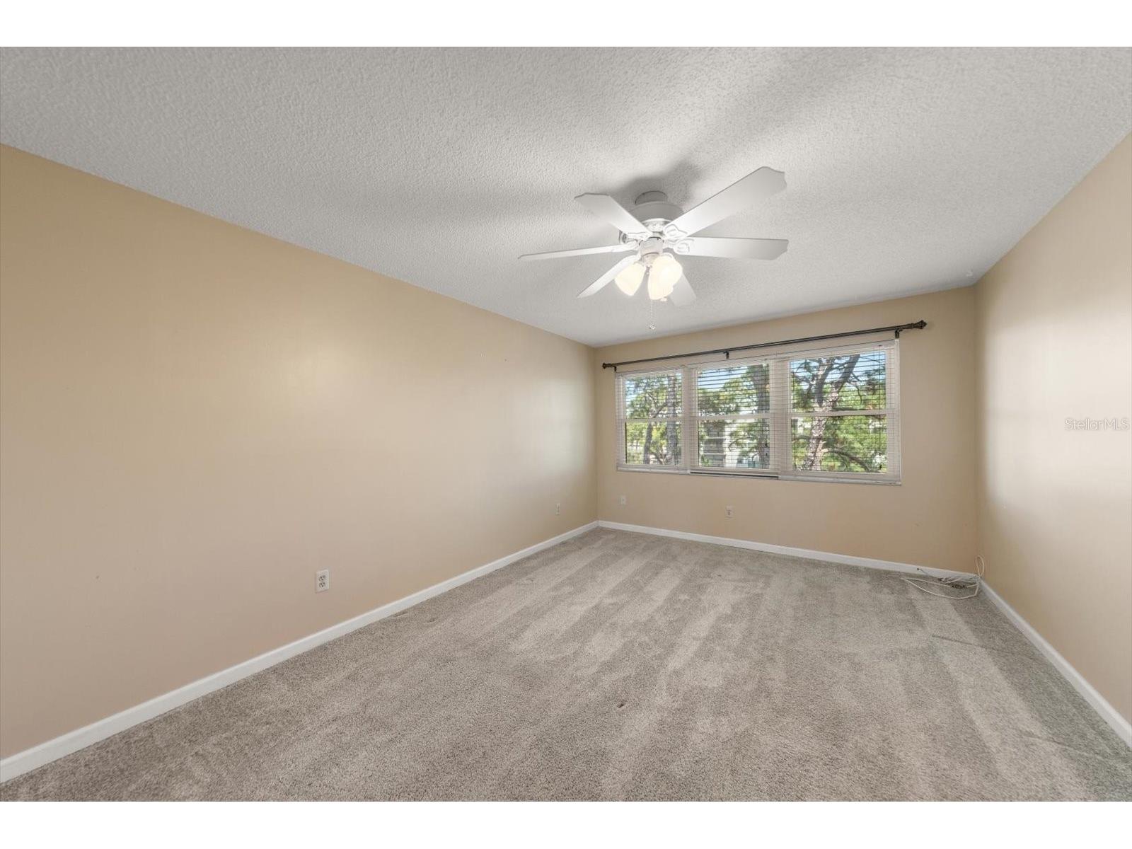 5970 80th Street N #411 Saint Petersburg FL 33709 TB8502219 image19