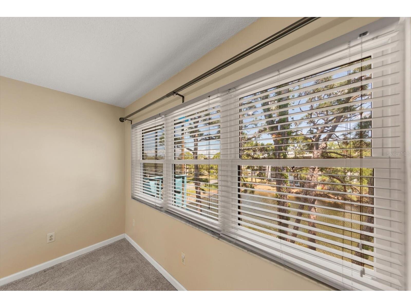 5970 80th Street N #411 Saint Petersburg FL 33709 TB8502219 image22