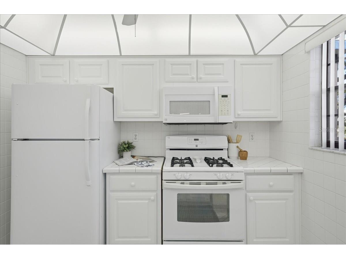 5970 80th Street North #206 Saint Petersburg FL 33709 TB8448525 image11