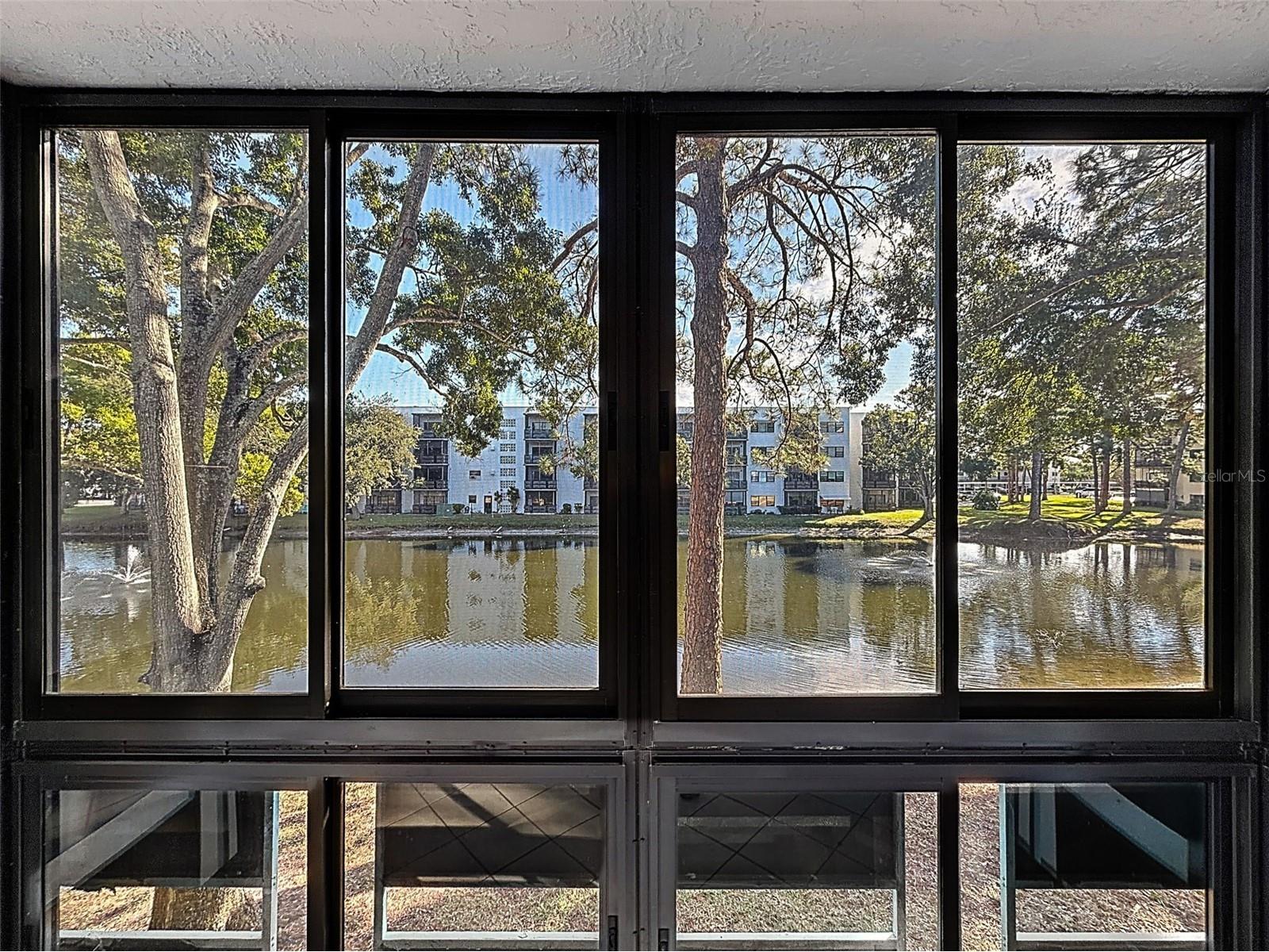 5970 80th Street North #206 Saint Petersburg FL 33709 TB8448525 image23