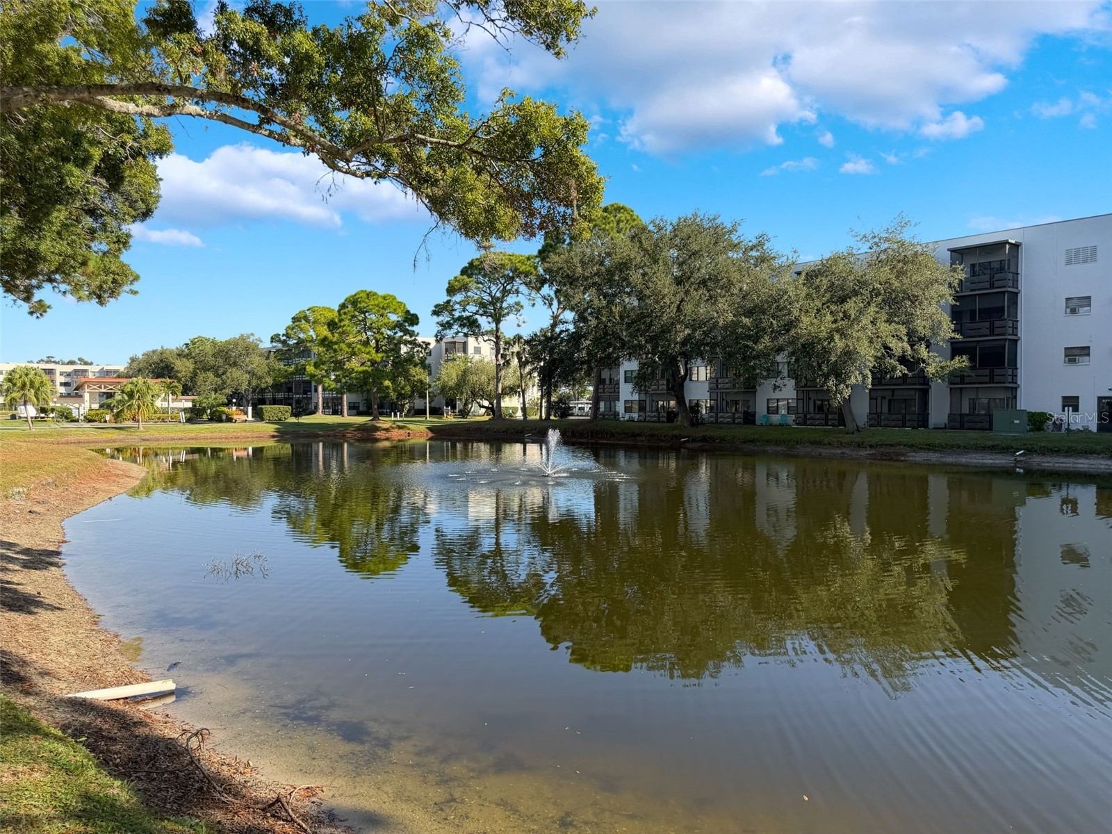 5970 80th Street North #206 Saint Petersburg FL 33709 TB8448525 image27