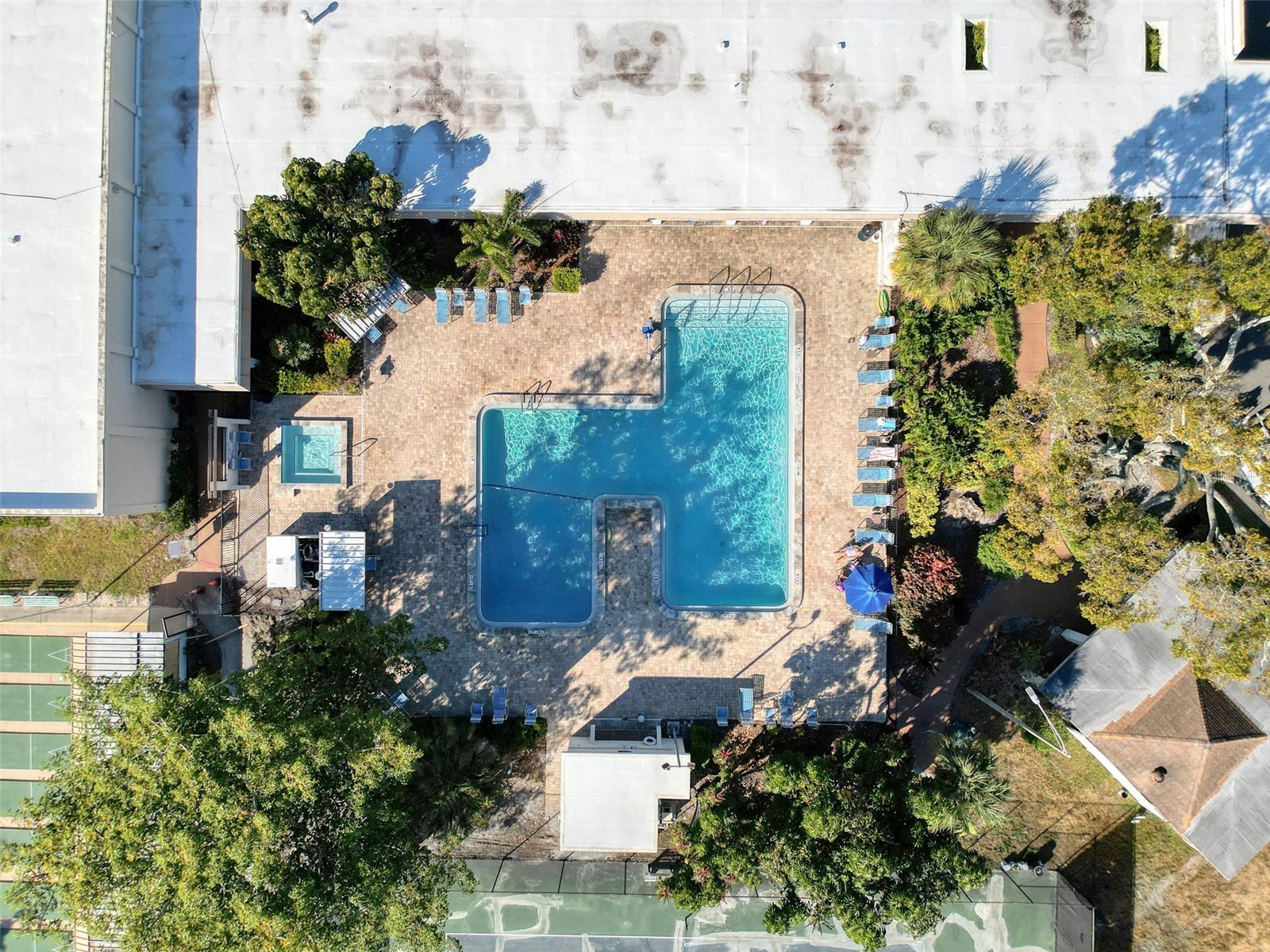 5970 80th Street North #206 Saint Petersburg FL 33709 TB8448525 image30