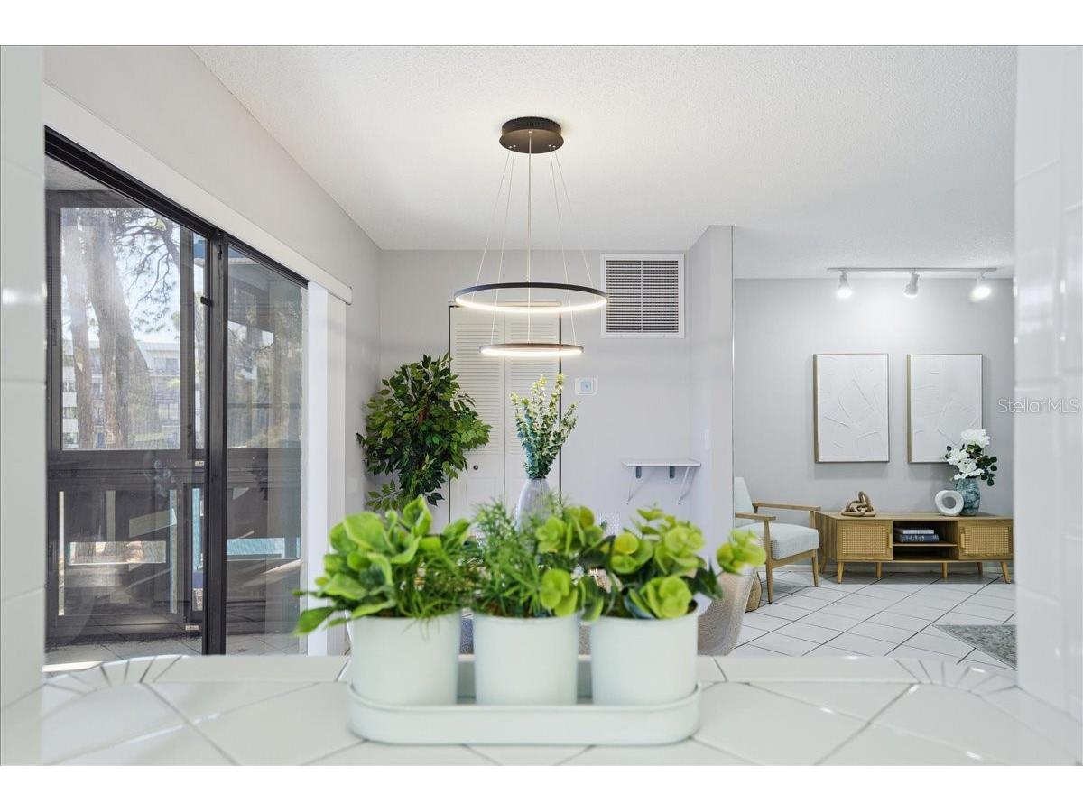 5970 80th Street North #206 Saint Petersburg FL 33709 TB8448525 image9