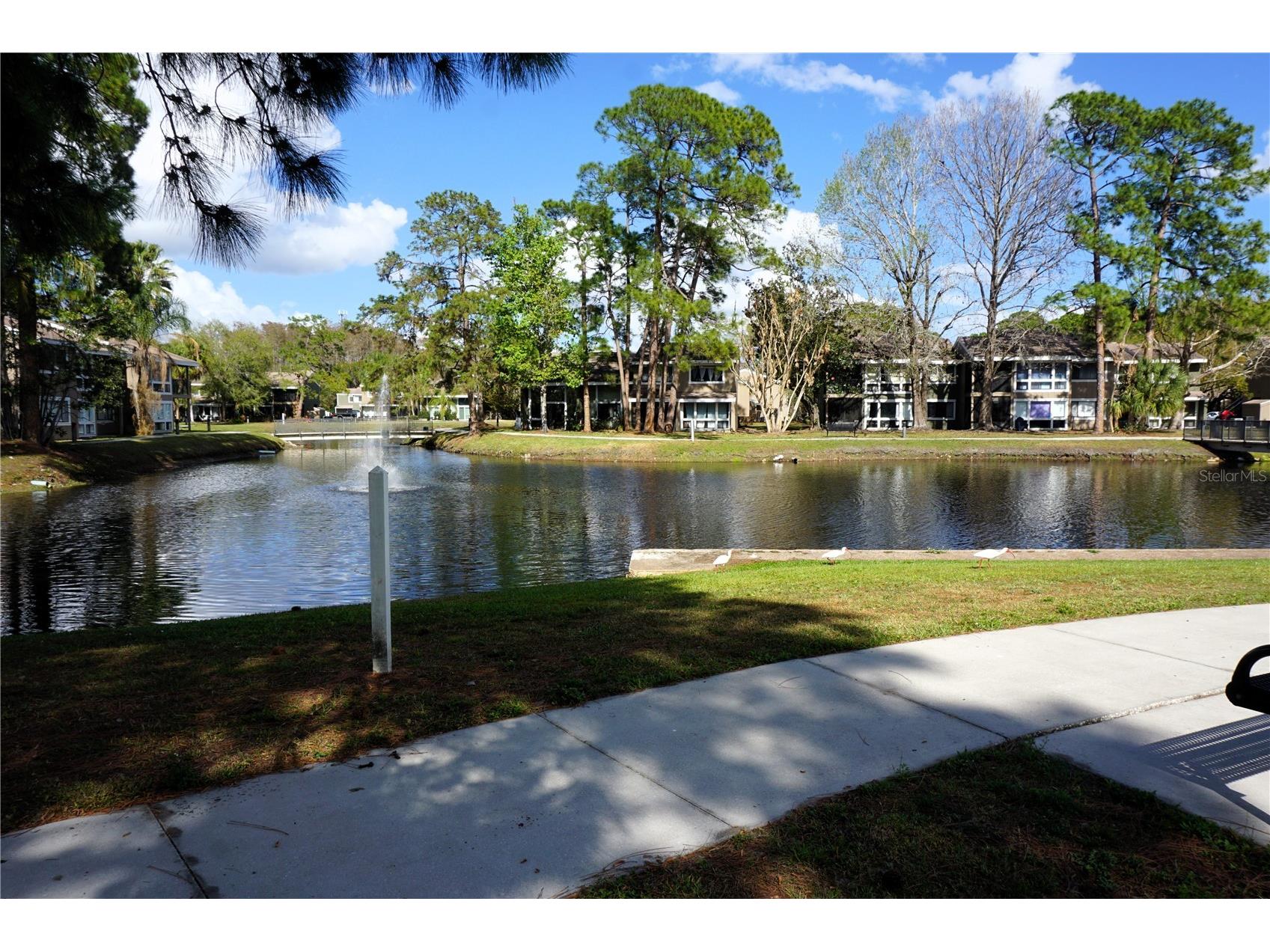 5971 Windhover Drive #7E Orlando FL 32819 O6388202 image2