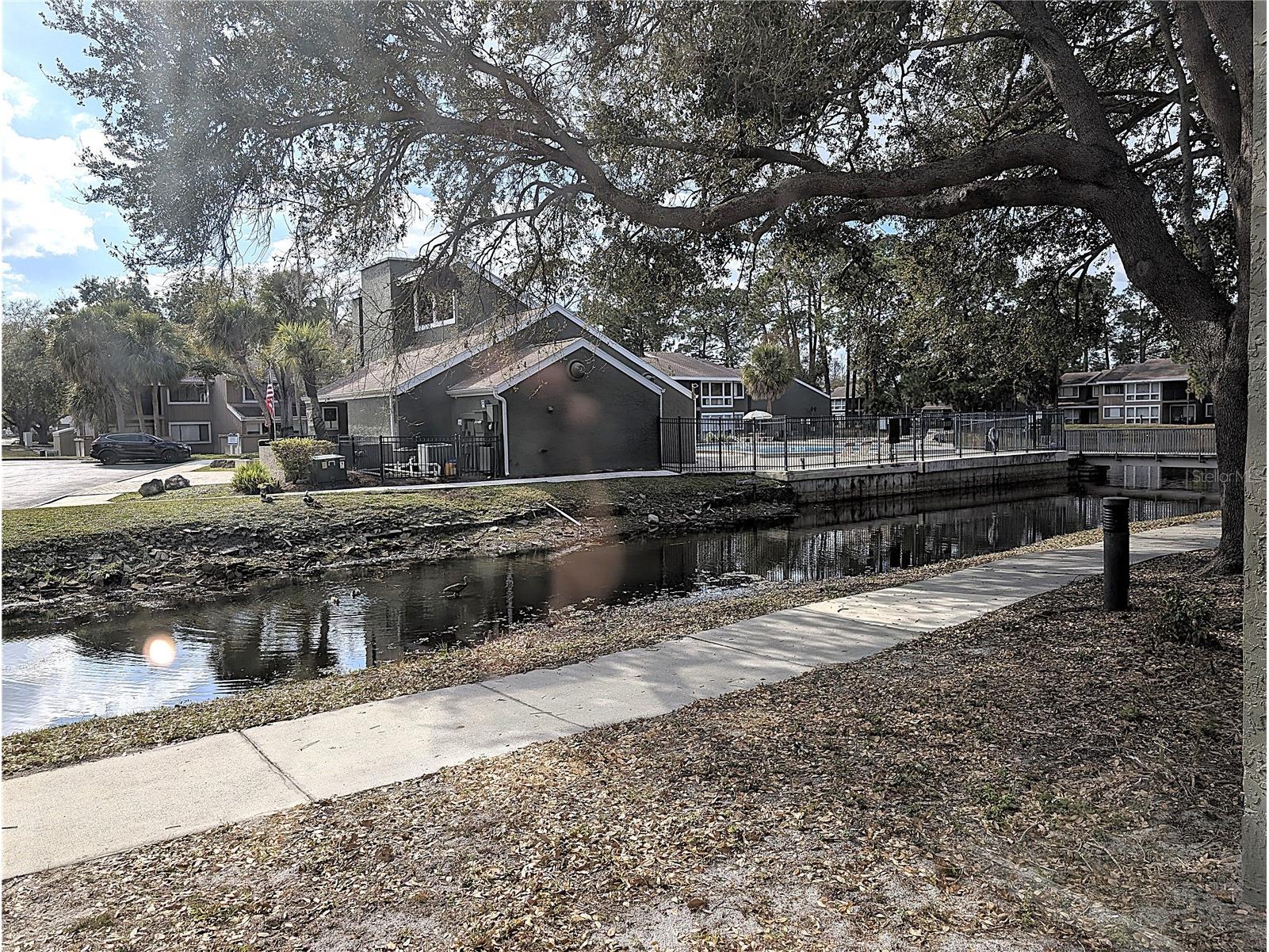 5971 Windhover Drive #7E Orlando FL 32819 O6388202 image22
