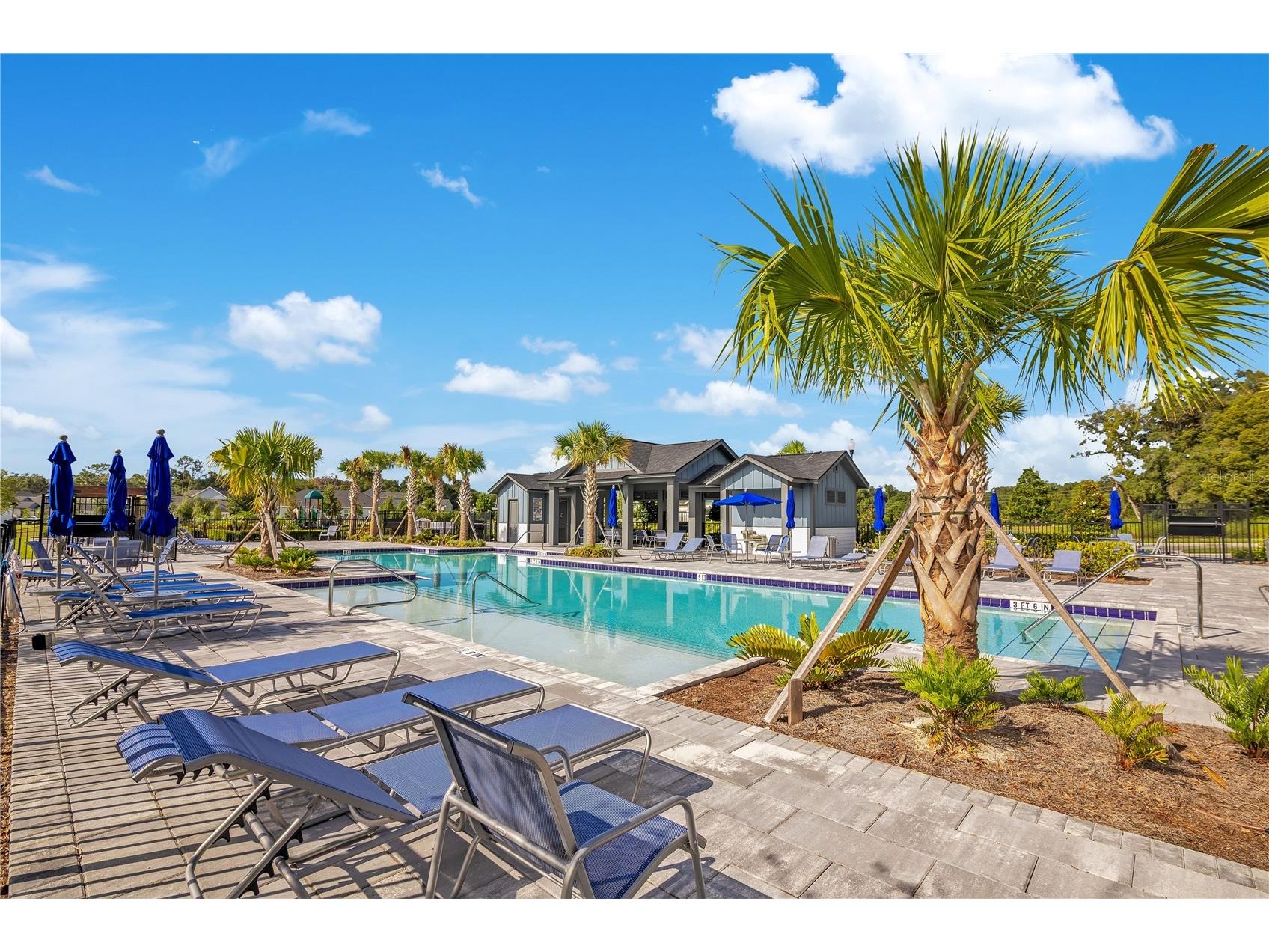 5972 Sacred Oak Avenue Mount Dora FL 32757 O6419778 image49