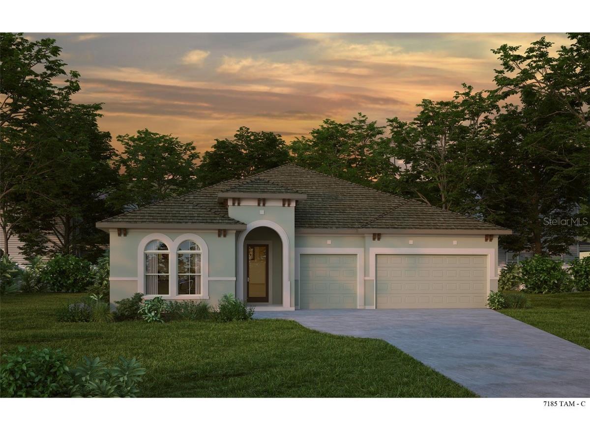 5973 Golden Nettle Drive Apollo Beach FL 33572 T3429850 image1