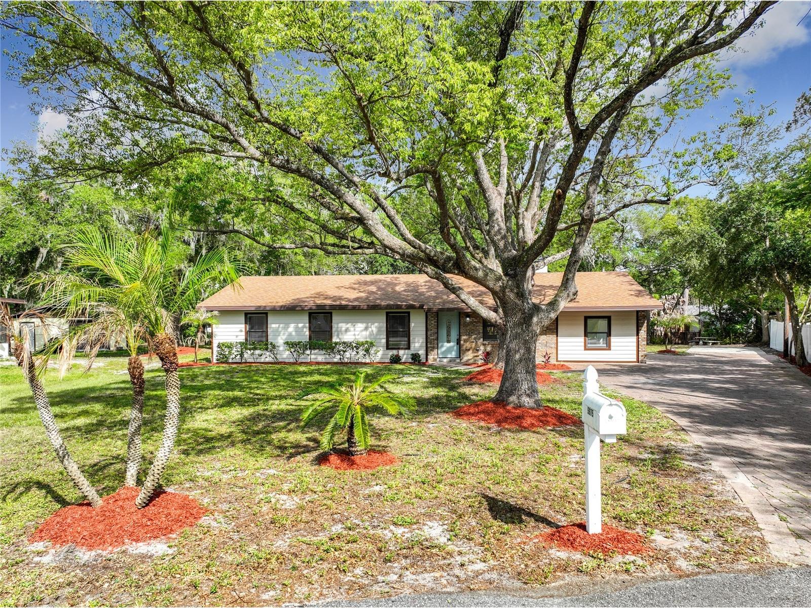 5975 Sheryl Anita Street Oviedo FL 32765 O6401877 image2