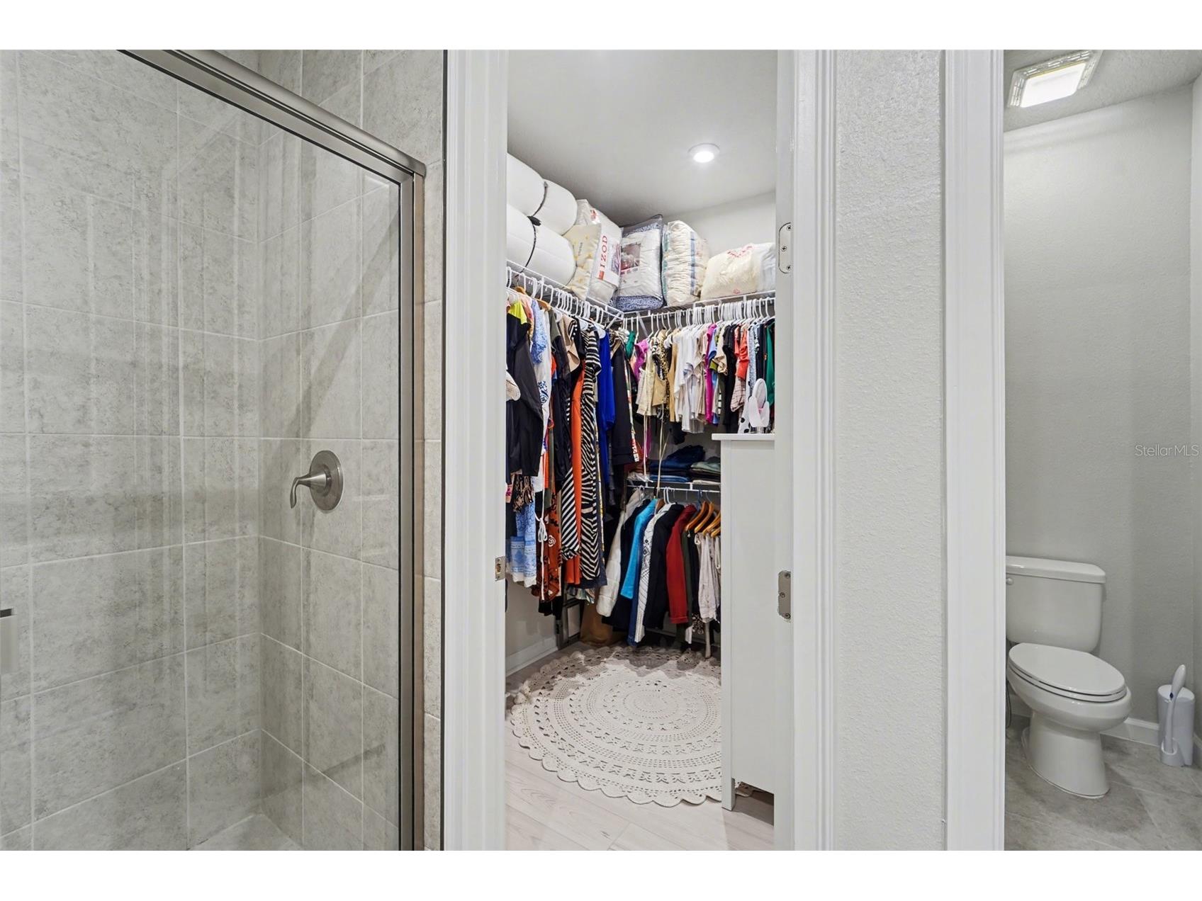 5975 Timberdale Avenue Wesley Chapel FL 33545 TB8500478 image12