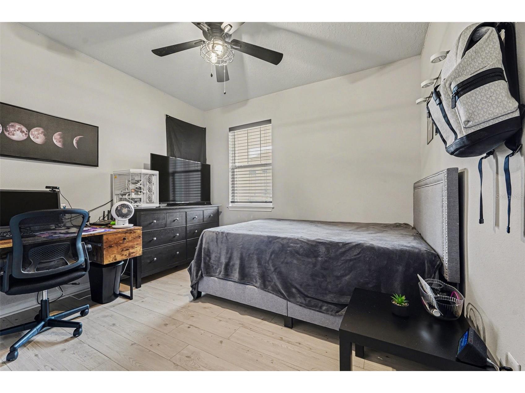 5975 Timberdale Avenue Wesley Chapel FL 33545 TB8500478 image13
