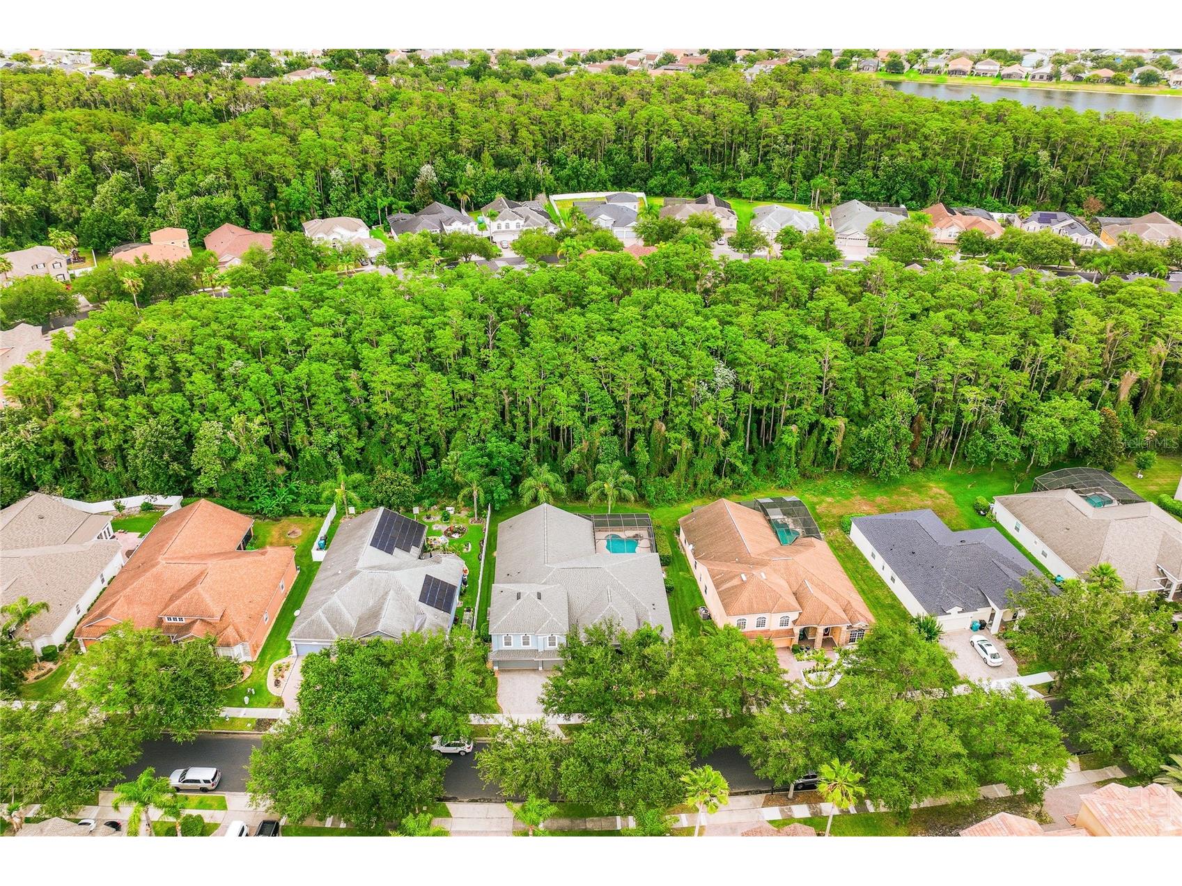 5977 Lake Melrose Drive Orlando FL 32829 O6417846 image57