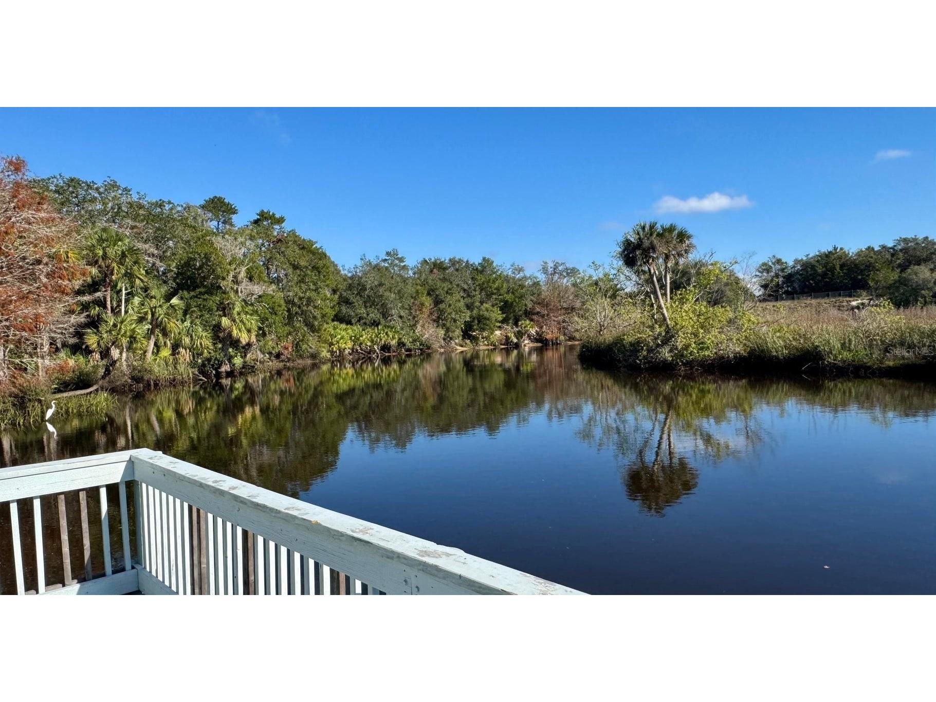 5978 Shady Creek Lane Port Orange FL 32128 NS1088453 image69