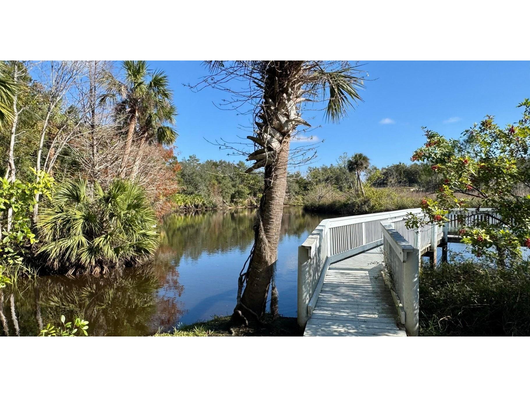 5978 Shady Creek Lane Port Orange FL 32128 NS1088453 image70