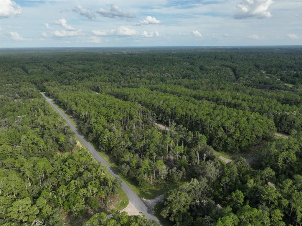 598 E Marquette Lane Dunnellon FL 34434 O6344057 image10