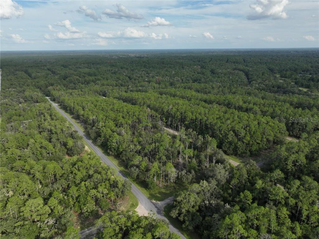 598 E Marquette Lane Dunnellon FL 34434 O6344057 image11