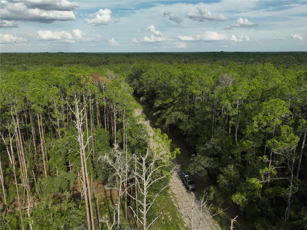 598 E Marquette Lane Dunnellon FL 34434 O6344057 image12