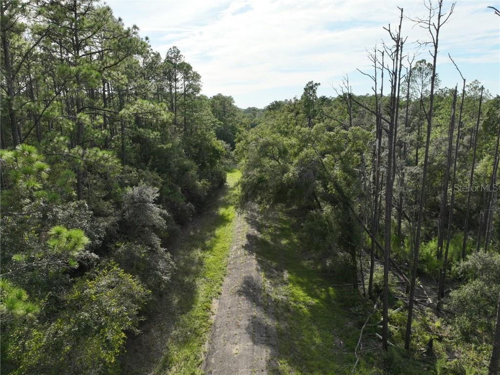 598 E Marquette Lane Dunnellon FL 34434 O6344057 image14