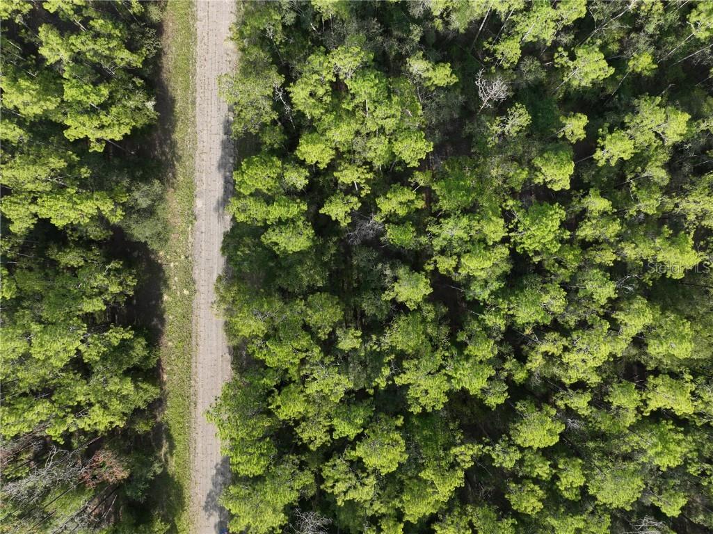 598 E Marquette Lane Dunnellon FL 34434 O6344057 image15