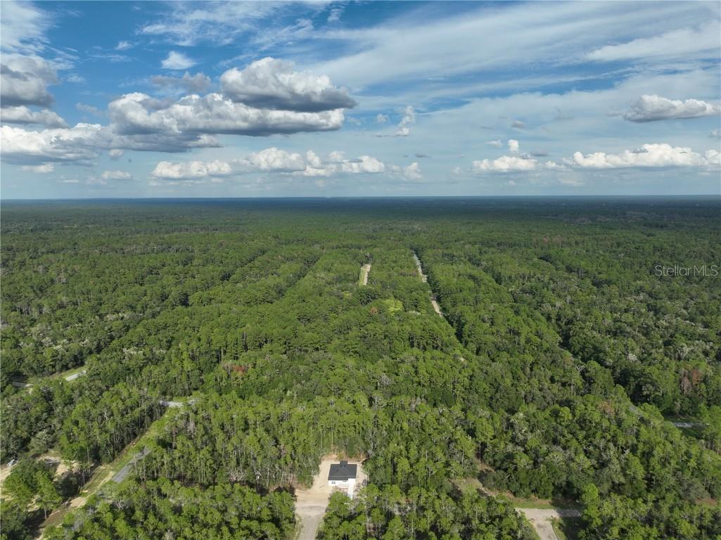 598 E Marquette Lane Dunnellon FL 34434 O6344057 image17