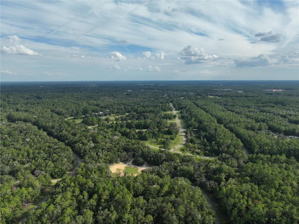 598 E Marquette Lane Dunnellon FL 34434 O6344057 image18