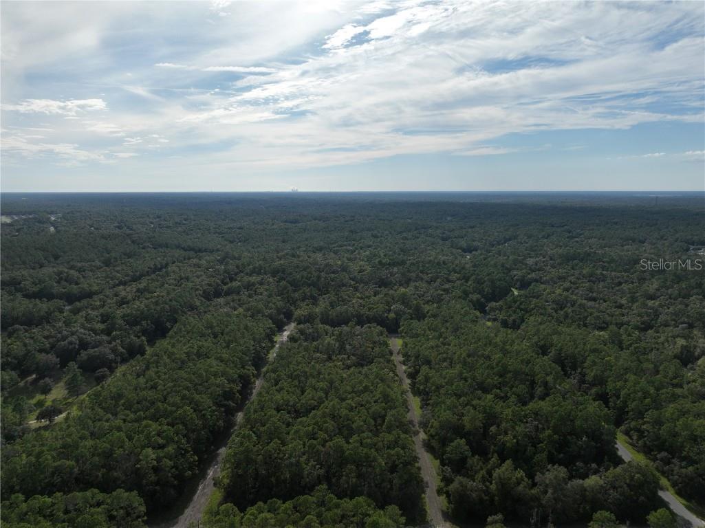 598 E Marquette Lane Dunnellon FL 34434 O6344057 image19