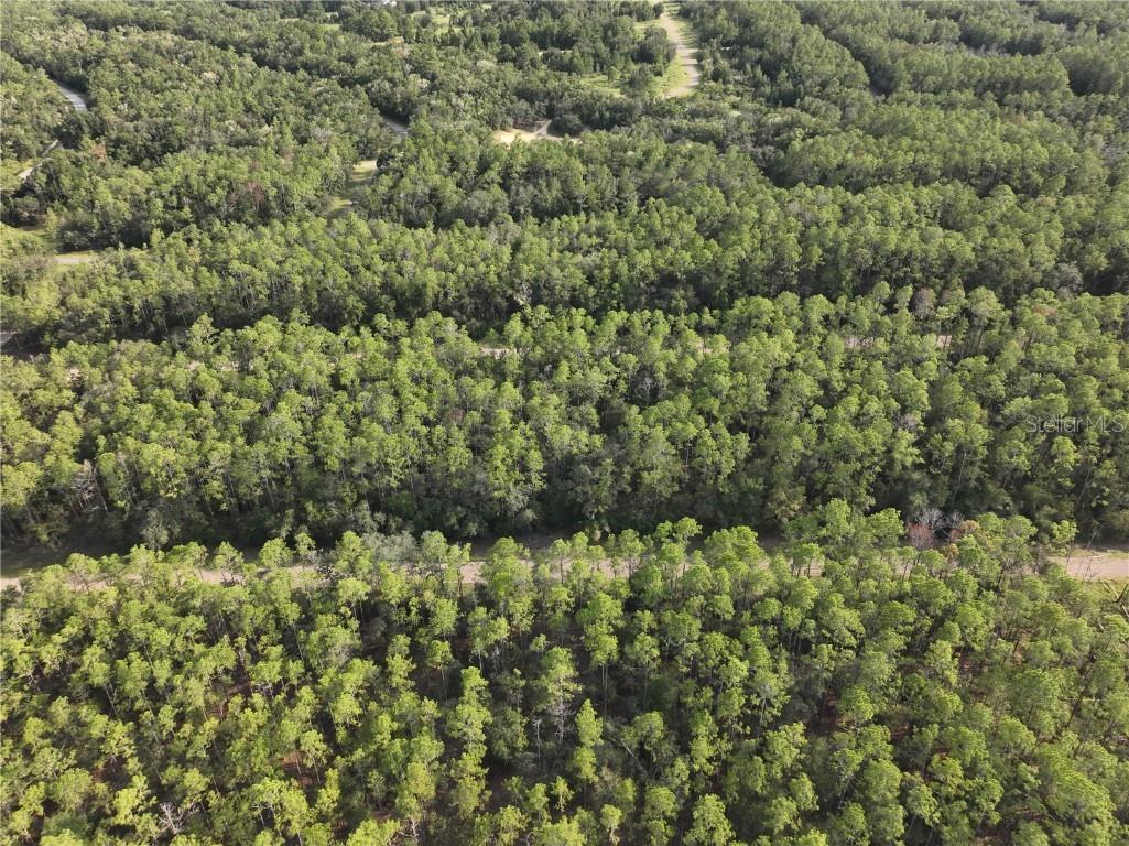 598 E Marquette Lane Dunnellon FL 34434 O6344057 image2