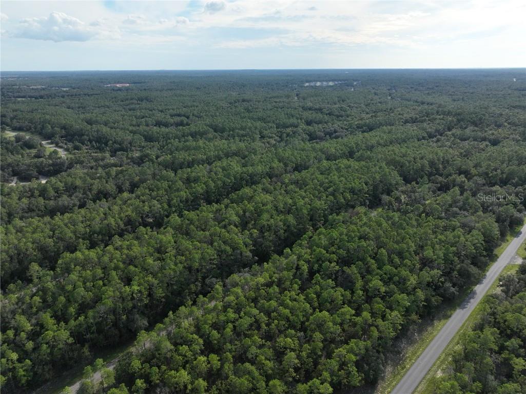 598 E Marquette Lane Dunnellon FL 34434 O6344057 image3