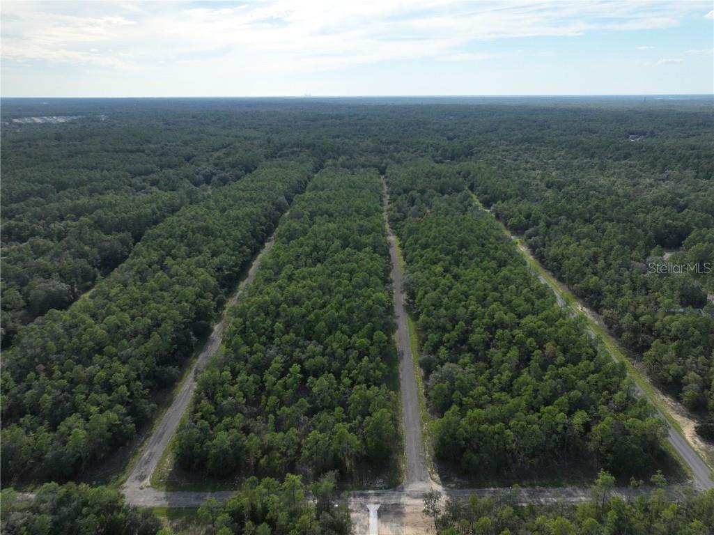 598 E Marquette Lane Dunnellon FL 34434 O6344057 image4