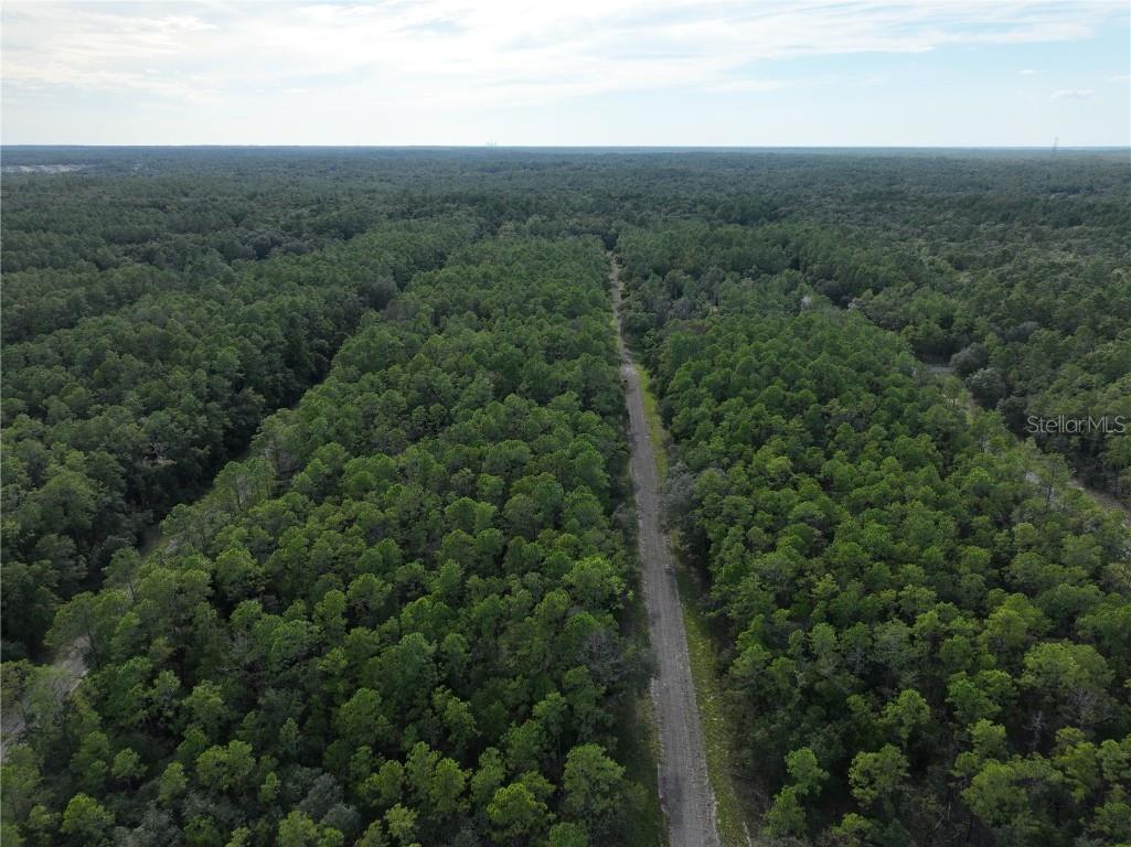 598 E Marquette Lane Dunnellon FL 34434 O6344057 image5