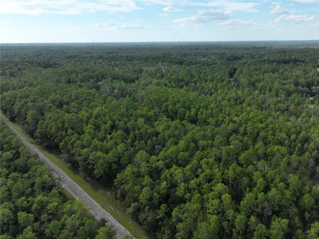 598 E Marquette Lane Dunnellon FL 34434 O6344057 image6