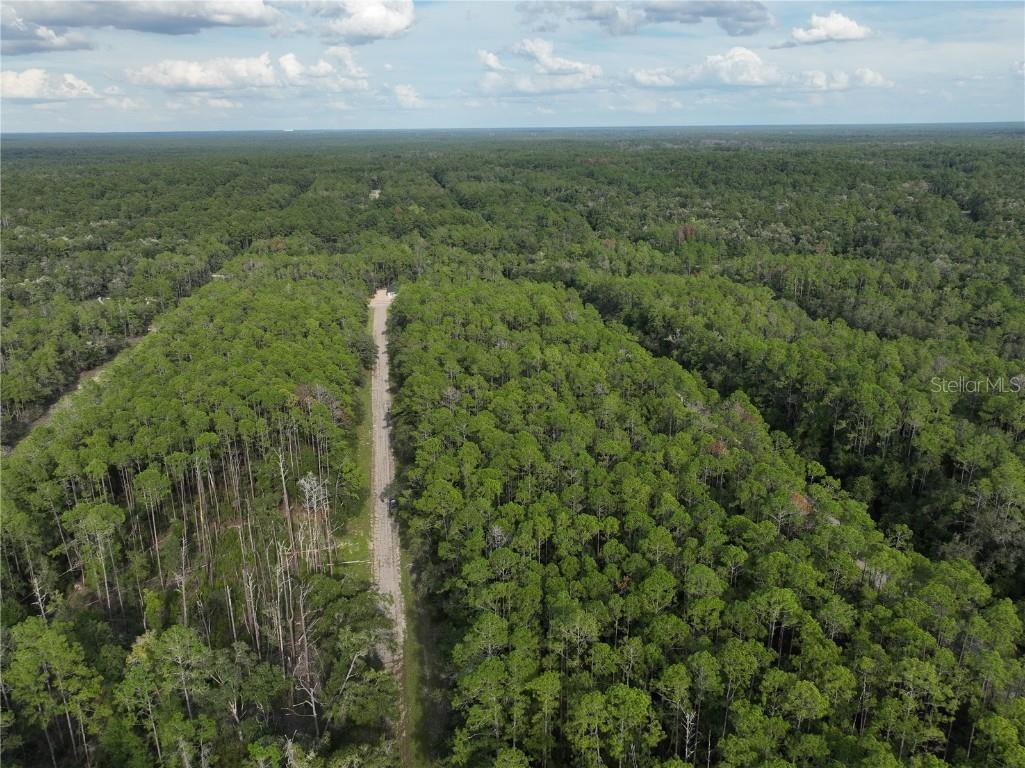 598 E Marquette Lane Dunnellon FL 34434 O6344057 image7