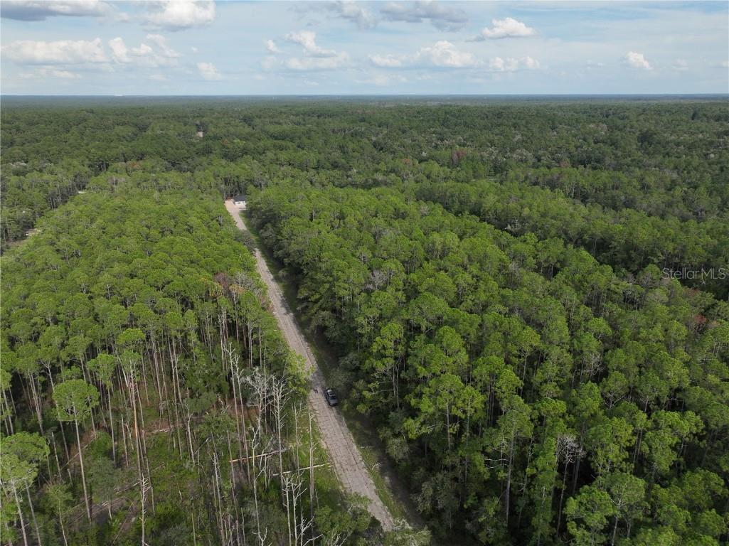 598 E Marquette Lane Dunnellon FL 34434 O6344057 image8