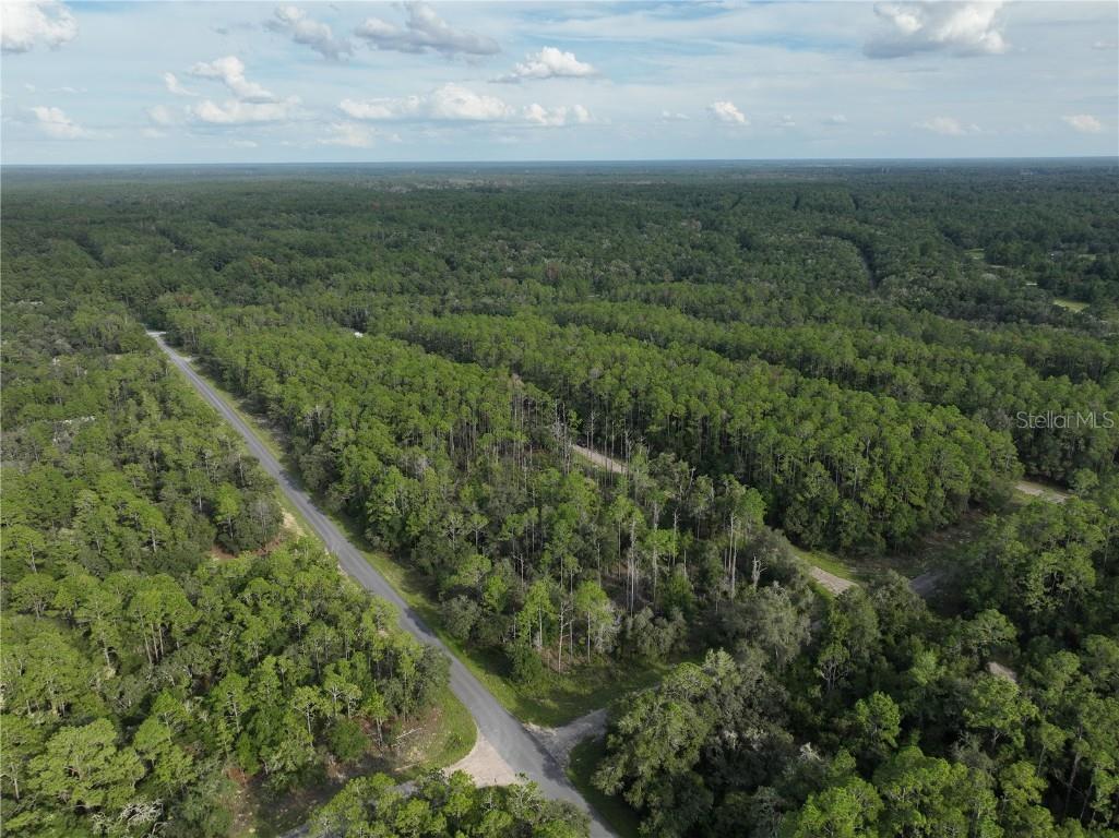 598 E Marquette Lane Dunnellon FL 34434 O6344057 image9